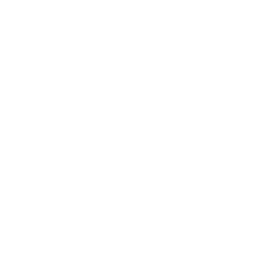 Logo von audi