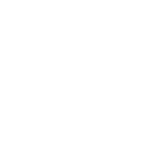 Logo von bmw