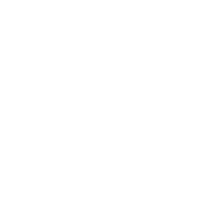 Logo von fiat