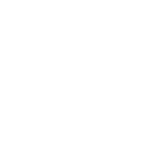 Logo von hyundai