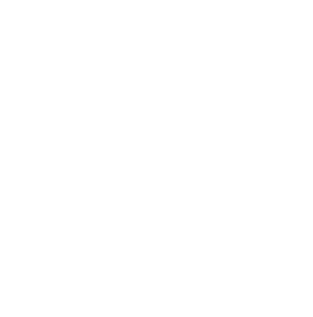 Logo von peugeot